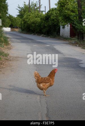 Chicken road online in Germany